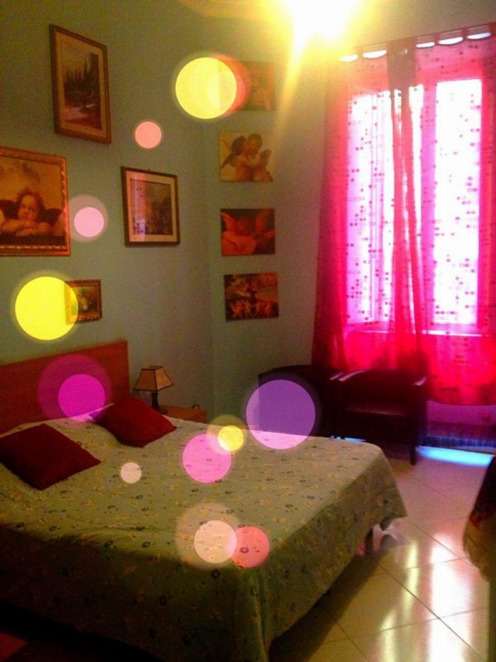 B&B Cappellini Image 26